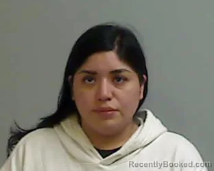 Mugshot of VALERIE DELEON booked in Hidalgo County, Texas on April 3, 2026