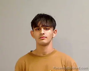 Mugshot of ALEXANDER KASHANCHI booked in Hidalgo County, Texas on April 24, 2026