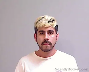 Mugshot of MICHAEL ANTHONY SILVA booked in Hidalgo County, Texas on April 24, 2026