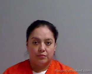 Mugshot of GRACE ANICETO booked in Hidalgo County, Texas on April 3, 2026