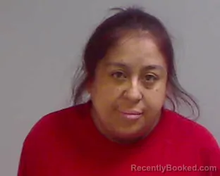 Mugshot of ERIKA ANN MARTINEZ GAMEZ booked in Hidalgo County, Texas on April 4, 2026