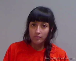 Mugshot of JOANNA LILIANA ROMERO booked in Hidalgo County, Texas on April 4, 2026