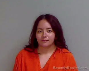 Mugshot of VANESSA MONIQUE MORALES booked in Hidalgo County, Texas on April 5, 2026