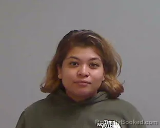 Mugshot of JANET MARY MCQUAY booked in Hidalgo County, Texas on April 5, 2026