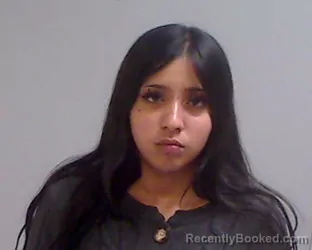 Mugshot of LILIAN JAIME RIOJAS booked in Hidalgo County, Texas on April 5, 2026