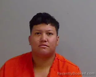 Mugshot of BRIZA YVETTE SALINAS booked in Hidalgo County, Texas on April 6, 2026