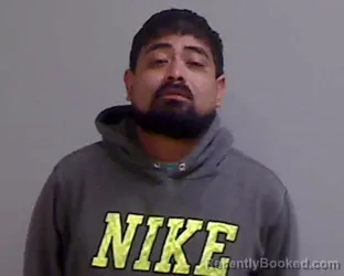 Mugshot of LUIS DOLORES MEJIA booked in Hidalgo County, Texas on April 9, 2026