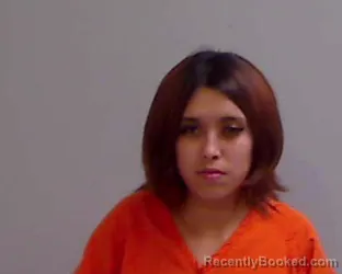 Mugshot of Anahi Maytel Martinez booked in Hidalgo County, Texas on April 9, 2026