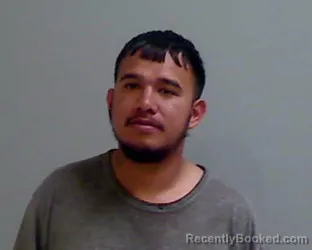 Mugshot of ROLANDO SILVA booked in Hidalgo County, Texas on April 9, 2026