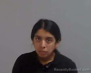 Mugshot of ONEYDA OLVERA booked in Hidalgo County, Texas on April 13, 2026