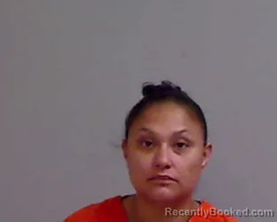 Mugshot of MICHELLE LEE SALINAS booked in Hidalgo County, Texas on April 13, 2026