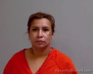 Mugshot of ALICIA REYES booked in Hidalgo County, Texas on April 13, 2026