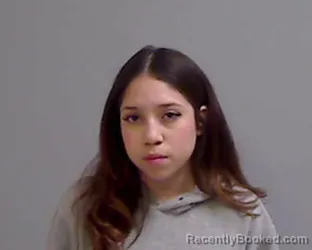 Mugshot of HEILY JANNETH NAVA booked in Hidalgo County, Texas on April 14, 2026