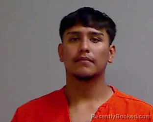 Mugshot of SEBASTIAN ORTEGA booked in Hidalgo County, Texas on April 14, 2026