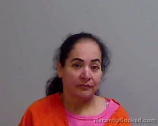 Mugshot of PATRICIA DOMINGUEZ booked in Hidalgo County, Texas on May 24, 2026