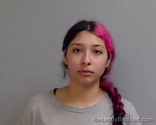 Mugshot of EVELYN GUAJARDO booked in Hidalgo County, Texas on June 2, 2026