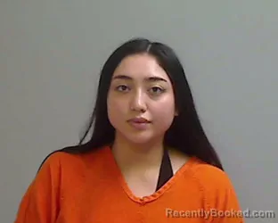 Mugshot of KIMBERLY RENEE CASTILLO booked in Hidalgo County, Texas on June 4, 2026