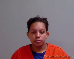 Mugshot of ANAHI ELISA TORRES booked in Hidalgo County, Texas on June 4, 2026
