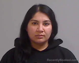 Mugshot of VANESSA VILLEGAS booked in Hidalgo County, Texas on June 8, 2026