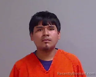 Mugshot of VENCESLADO ALBERTO PEREZ booked in Hidalgo County, Texas on June 11, 2026