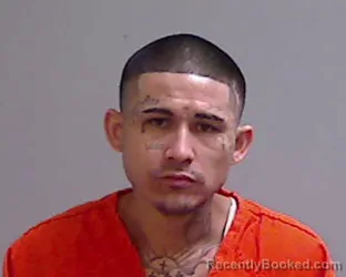 Mugshot of Juan Alberto Cepedas booked in Hidalgo County, Texas on June 13, 2026