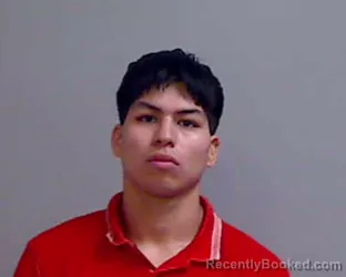 Mugshot of EFRAIN RIGOBERTO SALINAS booked in Hidalgo County, Texas on July 1, 2026