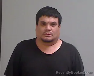 Mugshot of LUIS A ALFARO booked in Hidalgo County, Texas on July 17, 2026