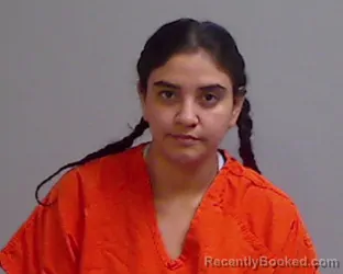Mugshot of ALEXANDRA PENA booked in Hidalgo County, Texas on July 17, 2026