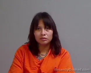 Mugshot of VANESSA ROSAMARIE GONZALEZ booked in Hidalgo County, Texas on July 19, 2026