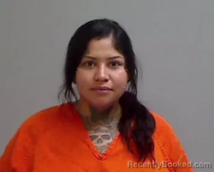 Mugshot of VIRIDIANA NIETO booked in Hidalgo County, Texas on July 22, 2026