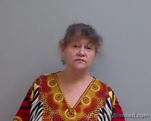 Mugshot of HILDA ALANIZ booked in Hidalgo County, Texas on July 23, 2026