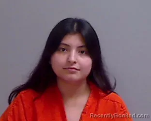 Mugshot of LUISA HERNADEZ booked in Hidalgo County, Texas on July 27, 2026
