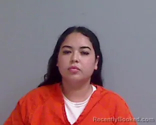 Mugshot of Anahi Cuellar Deleon booked in Hidalgo County, Texas on July 27, 2026