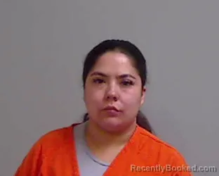 Mugshot of ARLET AYANEIRY SOLIS booked in Hidalgo County, Texas on July 4, 2026