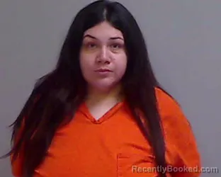 Mugshot of Anika Clarissa Castillo booked in Hidalgo County, Texas on July 4, 2026