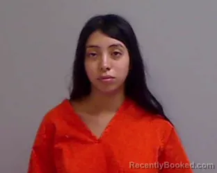 Mugshot of LESLIE JOHANNA PORRAS booked in Hidalgo County, Texas on July 5, 2026