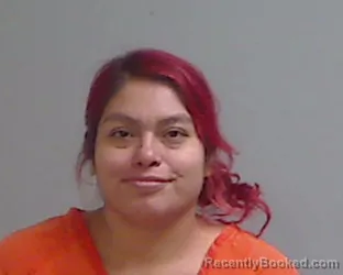 Mugshot of THELMA LUNA booked in Hidalgo County, Texas on July 7, 2026
