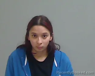 Mugshot of DESIREE LEE CASTILLO booked in Hidalgo County, Texas on July 14, 2026
