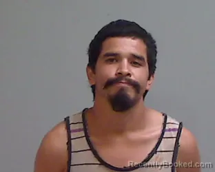 Mugshot of FRANCISCO ALEMAN booked in Hidalgo County, Texas on July 14, 2026