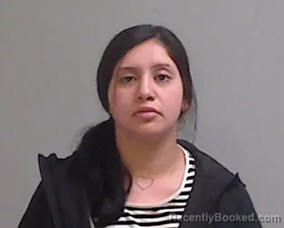 Mugshot of Alexis Coreen Hinojosa booked in Hidalgo County, Texas on August 24, 2026