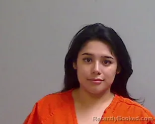 Mugshot of Alina Villalobos booked in Hidalgo County, Texas on August 24, 2026