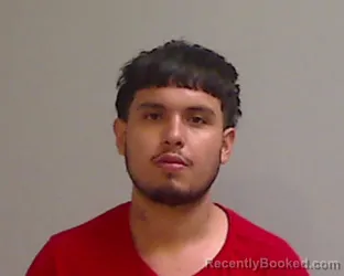 Mugshot of Jose Ernesto Palomo booked in Hidalgo County, Texas on August 24, 2026