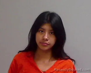 Mugshot of Brittany Conteras booked in Hidalgo County, Texas on August 25, 2026