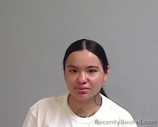 Mugshot of Violeta Lian Solis booked in Hidalgo County, Texas on August 25, 2026