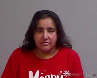 Mugshot of Linda Marie Moreno booked in Hidalgo County, Texas on August 26, 2026