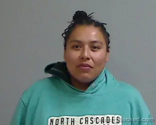 Mugshot of Vanessa Zapata booked in Hidalgo County, Texas on August 26, 2026