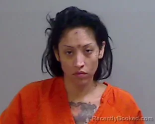 Mugshot of Teresa Margarita Leon booked in Hidalgo County, Texas on August 28, 2026