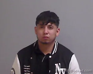 Mugshot of Micriyoel Arif Gallo booked in Hidalgo County, Texas on August 28, 2026