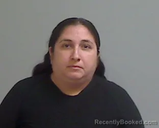 Mugshot of Lluvia Amaris Manrique booked in Hidalgo County, Texas on August 31, 2026