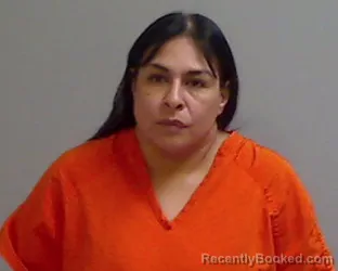 Mugshot of Crystal Joe Vallejo booked in Hidalgo County, Texas on September 1, 2026